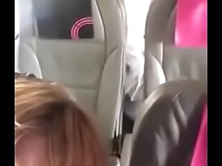 Desi chick fucked in flight