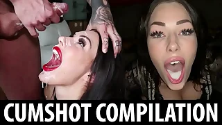 Good Sluts Don't Chicanery Along to Cum - SHAIDEN ROGUE FACIAL & CUMSHOT COMPILATION